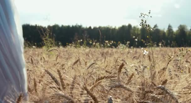 Two Beautiful Women Running Together Wheat Field Sunny Day — Stock Video