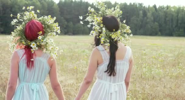 Dos Hermosas Mujeres Con Flores Guirnaldas Juntas Campo Trigo Día — Vídeos de Stock