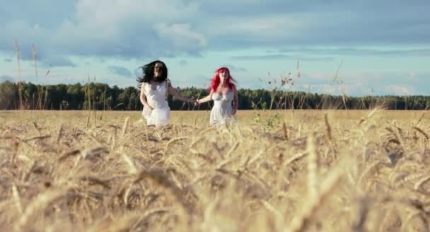 Two Beautiful Women Running Together Wheat Field Sunny Day — Stock Video
