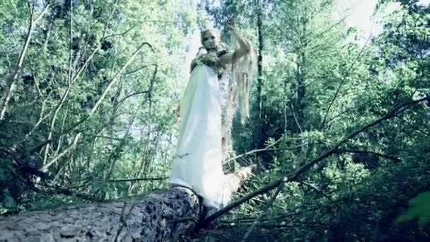 美しい妖精の女性のファンタジー概念 — ストック動画