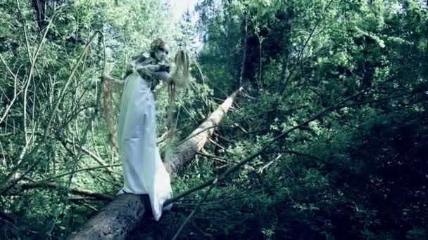 Concepto Fantasía Hermosa Mujer Hadas Pie Árbol Caído Bosque — Vídeo de stock