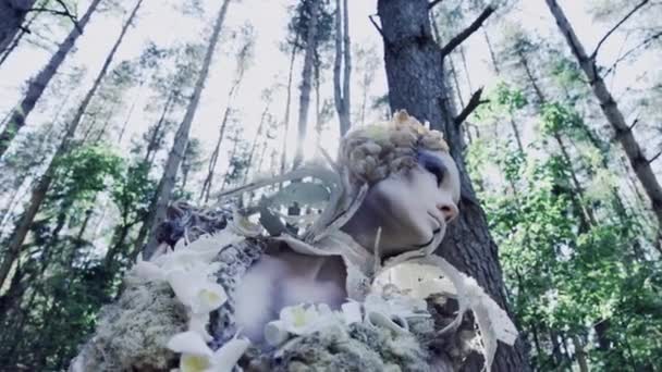 Pojęcie Fantasy Woman Piękne Bajki Pozowanie Lesie — Wideo stockowe