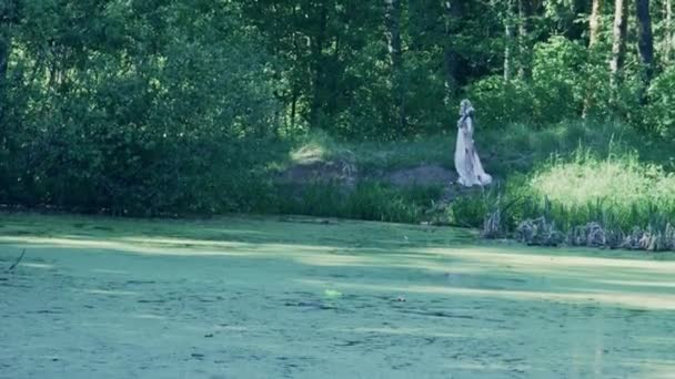 Conceito Fantasia Bela Fada Mulher Andando Floresta Perto Lago — Vídeo de Stock