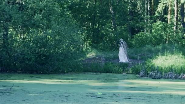 Lake Yakınındaki Ormanda Yürüyen Güzel Peri Kadın Kavramı Fantezi — Stok video