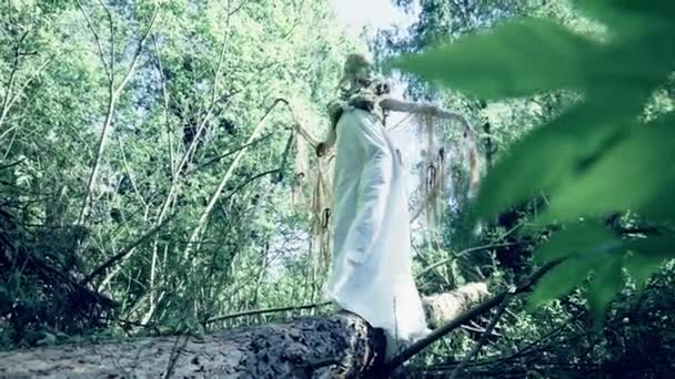 Majestueuze Fairy Vrouw Poseren Magic Forest — Stockvideo