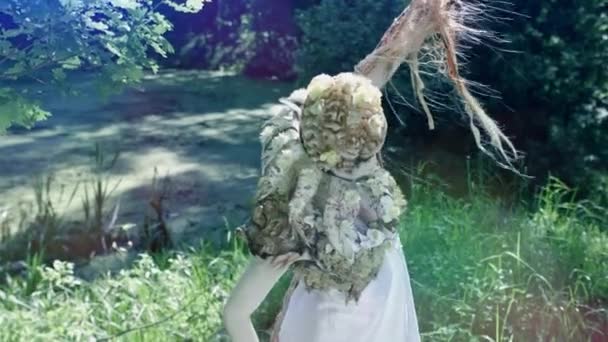 Fascinating Fairy Posing Green Forest — Stock Video