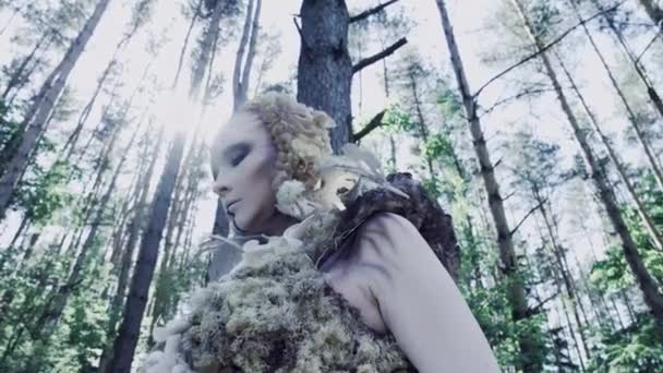 緑の森でポーズをとって魅力的な妖精 — ストック動画