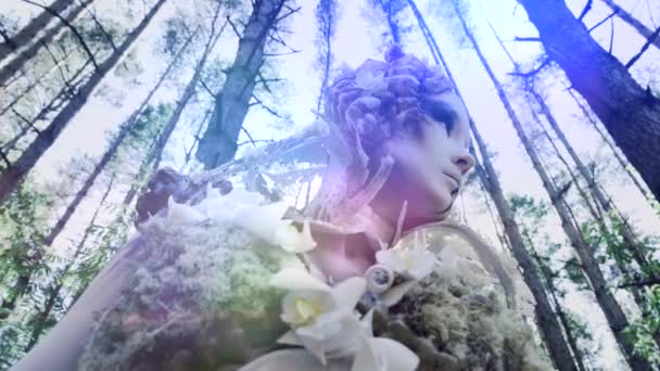 ファンタジー妖精女性が森でカメラにポーズ — ストック動画
