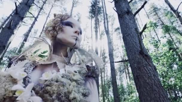 Fantasía Hada Mujer Posando Cámara Bosque — Vídeo de stock