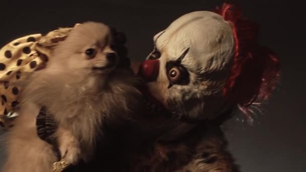 Aterrador Payaso Hombre Piel Sosteniendo Poco Lindo Perro Posando Sobre — Vídeo de stock