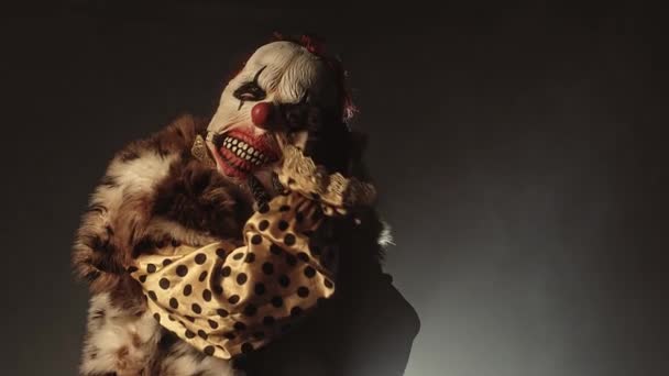 Enge Clown Man Vacht Houdt Schattig Hondje Poseren Tegen Mistige — Stockvideo