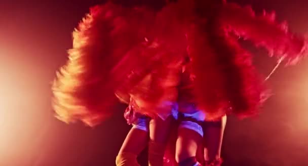 Mooie Jonge Vrouwen Met Pom Poms Poseren Samen Carnaval Concept — Stockvideo