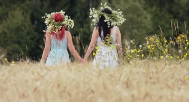 Zwei Schöne Frauen Mit Blumenkränzen Zusammen Weizenfeld Einem Sonnigen Tag — Stockvideo