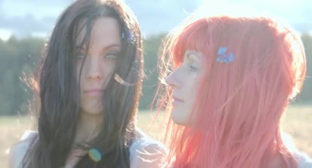 Две Красивые Женщины Позируют Вместе Пшеничном Поле Солнечный День — стоковое видео