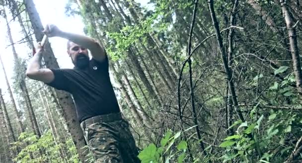 Uomo Caucasico Barbuto Tagliare Legna Nella Foresta — Video Stock