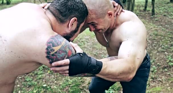Two Caucasian Men Practicing Box Blows Forest Camp — Stock Video