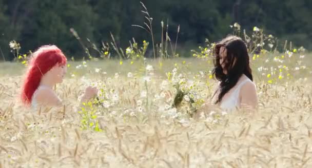 Dos Hermosas Mujeres Haciendo Guirnaldas Juntas Campo Trigo Día Soleado — Vídeos de Stock