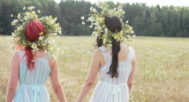 Dos Hermosas Mujeres Con Flores Guirnaldas Juntas Campo Trigo Día — Vídeos de Stock