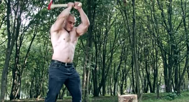 Muskulös Kaukasiska Man Hugga Ved Skogen — Stockvideo