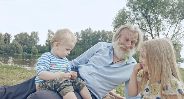 Kaukaski Starszy Dziadek Wnukiem Wnuczka Spędzać Czas Nature — Zdjęcie stockowe