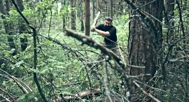 Barbudo Caucasiano Homem Cortando Madeira Floresta — Vídeo de Stock