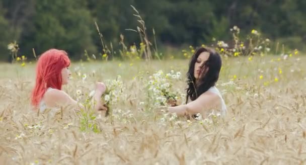 Dos Hermosas Mujeres Haciendo Guirnaldas Juntas Campo Trigo Día Soleado — Vídeos de Stock