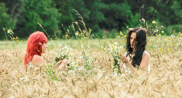 Duas Mulheres Bonitas Com Flores Juntas Campo Trigo Dia Ensolarado — Fotografia de Stock