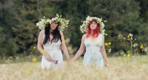 Две Красивые Женщины Цветочными Венками Вместе Пшеничном Поле Солнечный День — стоковое видео