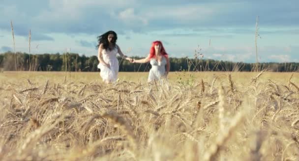 Two Beautiful Women Running Hand Hand Together Wheat Field Sunny — Stock Video