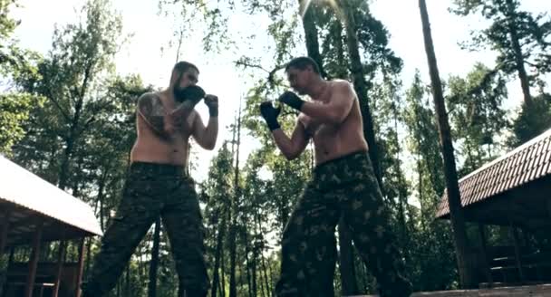 Два Кавказьких Чоловіки Практикують Коробку Ударів Лісовому Таборі — стокове відео