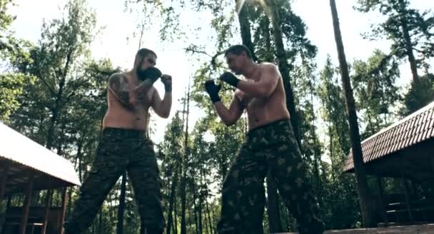 Zwei Kaukasische Männer Üben Waldcamp Boxhiebe — Stockvideo