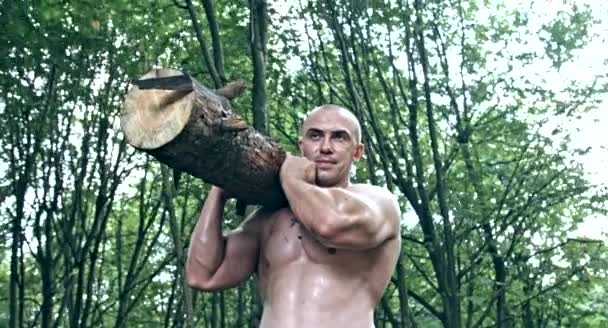 Muscular Caucasian Man Holding Log Forest — Stock Video