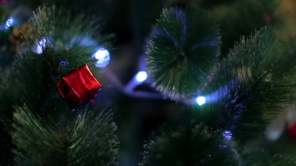 Detailní Video Vánoční Jedle Strom Detailů Věnec — Stock video