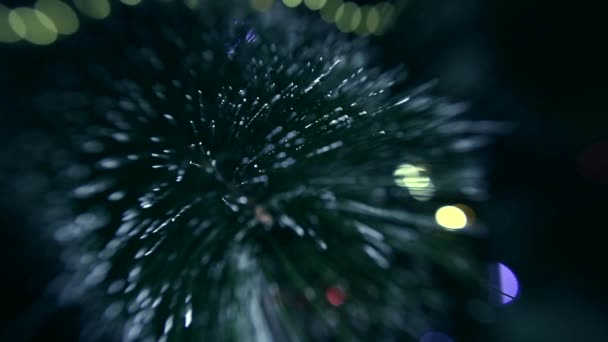 Closeup Video Van Kerstmis Fir Tree Details Concept Vakantie — Stockvideo