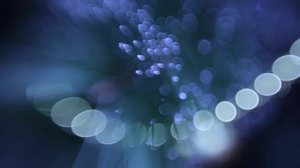 Extreme Closeup Video Christmas Fir Tree Details Decorations