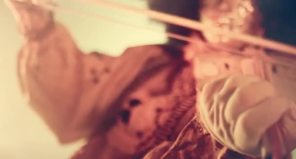 Жінка Венеціанському Костюмі Перука Грає Скрипці Крупним Планом — стокове відео