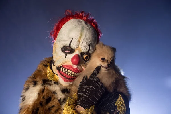 Страшний Клоун Чоловік Хутрі Тримає Маленького Милого Собаку Позує Туманному — стокове фото