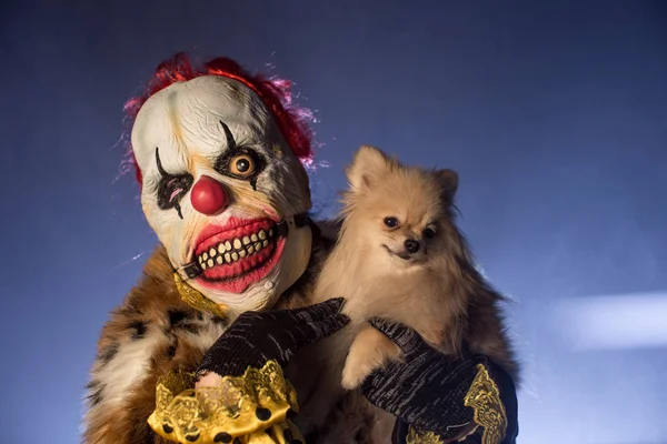 Страшний Клоун Чоловік Хутрі Тримає Маленького Милого Собаку Позує Туманному — стокове фото