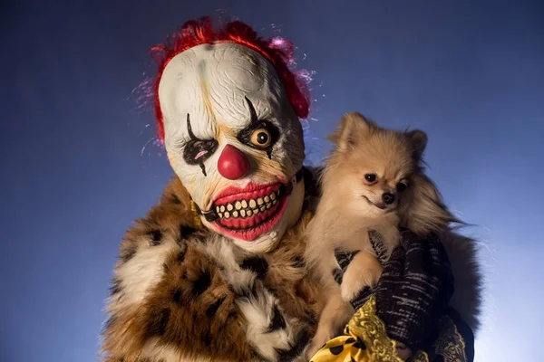 Scary Clown Man Fur Holding Little Cute Dog Posing Misty — Stock Photo, Image