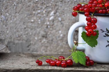 Kırmızı kuş üzümü meyveli demir kupa. Yakınlarda bir yapraklı bir demet kuş üzümü var..