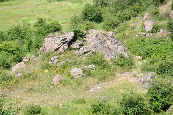 Summer Landscape Green Plants Old Huge Stones Wildflowers — Stock Photo, Image