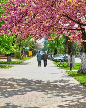 Kiraz çiçekleri, karahindibalı yeşil çimenler, banklar, park etmiş arabalar, ankesörlü telefonlar. Güneşli güneşli bir günde iş için şehirde dolaşan yayalar.