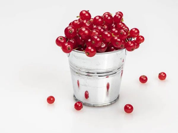 Ripe Red Currants Chrome Miniature Bucket Scattered White Background Close — Stock Photo, Image