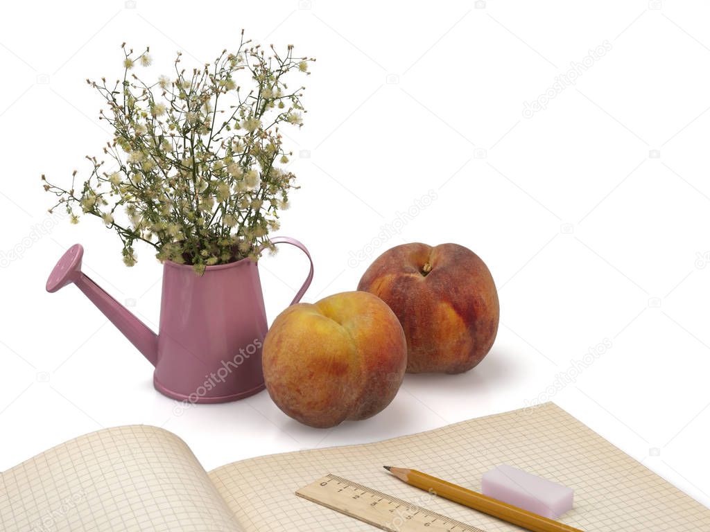 School supplies, peaches and flowers in a watering can. September 1. Still life. On a white background. Isolated.