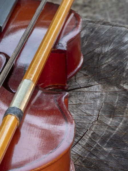 Violino Sul Vecchio Ceppo Natura Morta Primo Piano — Foto Stock