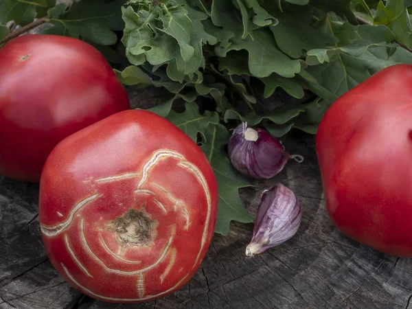 Tomaten Knoblauch Eichenzweige Liegen Auf Einem Alten Baumstumpf Reif Geknackt — Stockfoto