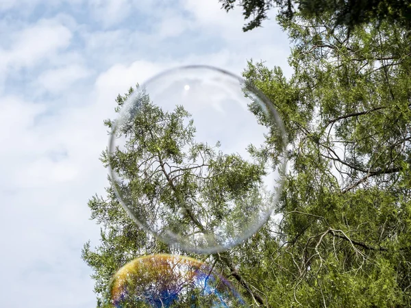 Soap bubbles against the sky and trees. Summer mood. Scam.