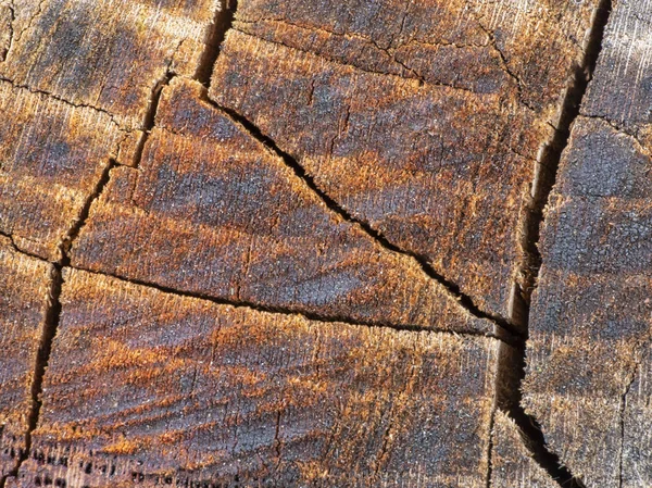 Cracks in the wood. Old stump. Texture. Abstraction. Background.