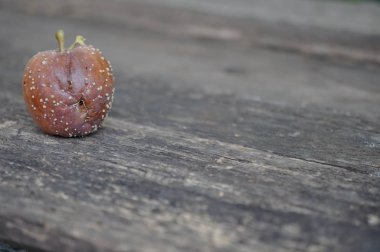 Bozulmuş unutulmuş elma gri ahşap bir arka plan üzerinde yatıyor