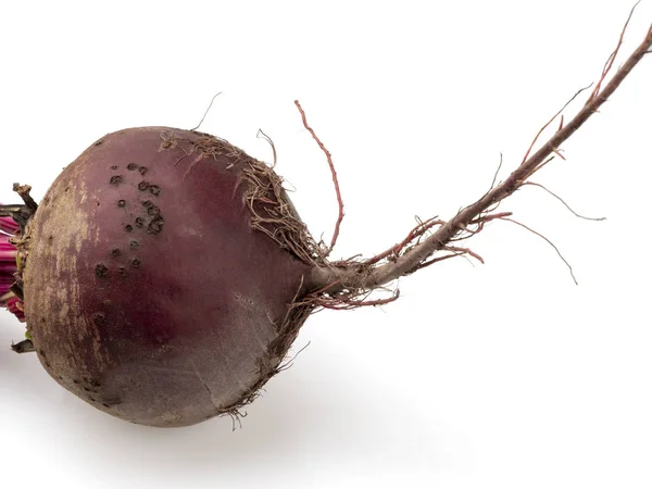 Beet. Root crop with root and stem. On a white background — Stock Photo, Image